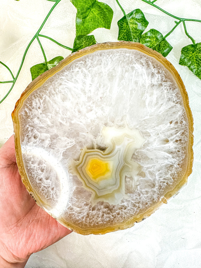 Agate Slab #9