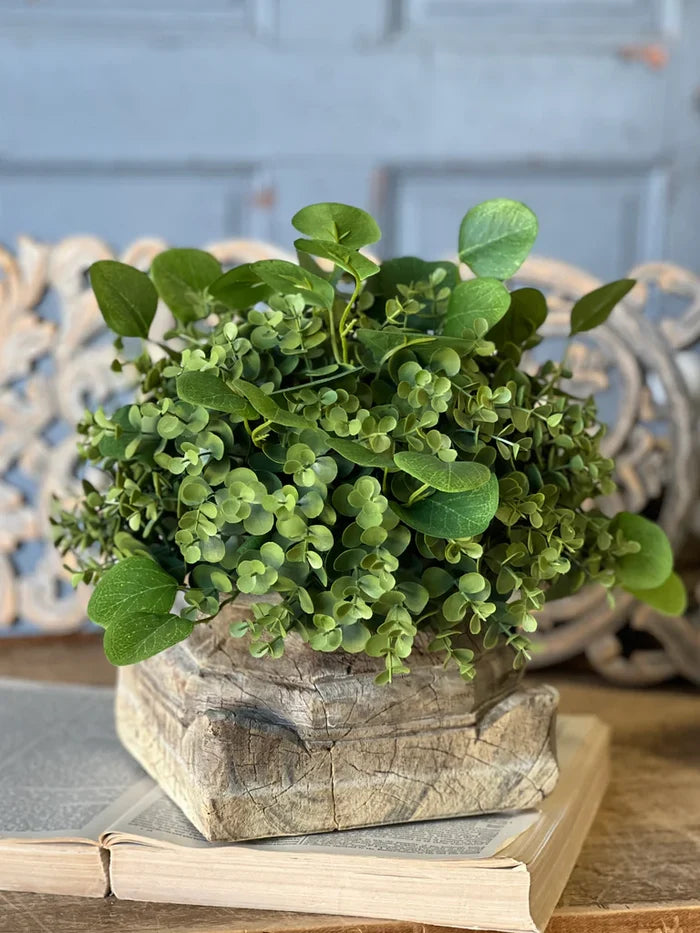 Ashford Eucalyptus Half Sphere, 12"