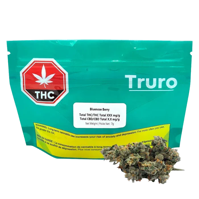 Front-facing image of a teal pouch labeled Truro Bluenose Berry with a THC symbol at left and cannabis buds placed in front.