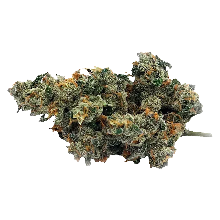 Close-up of a frosty cannabis bud of Bluenose Berry showing green and orange hairs and crystallized trichomes against a white background.