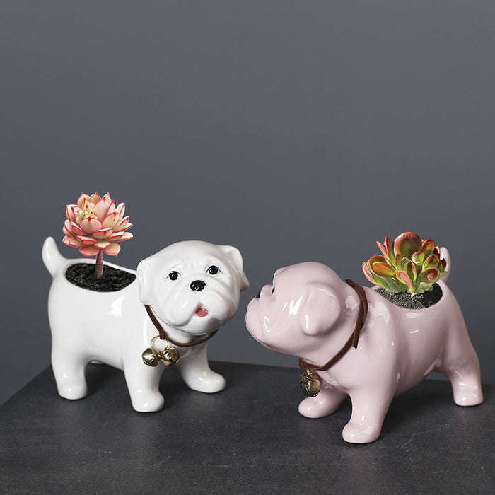 Bulldog Succulent Pot