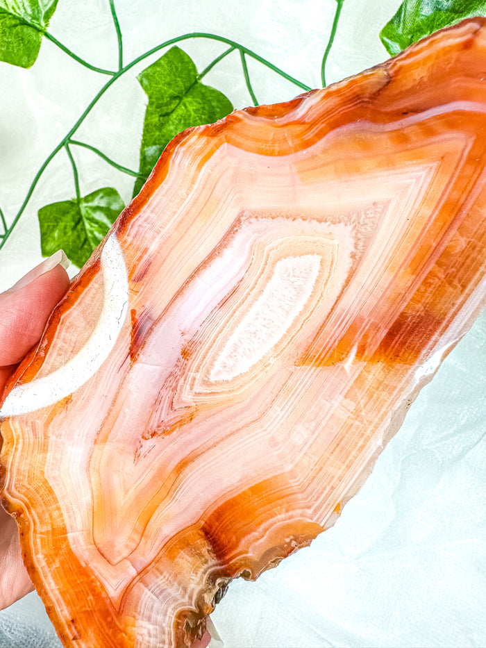 Carnelian Slab (HD) #6