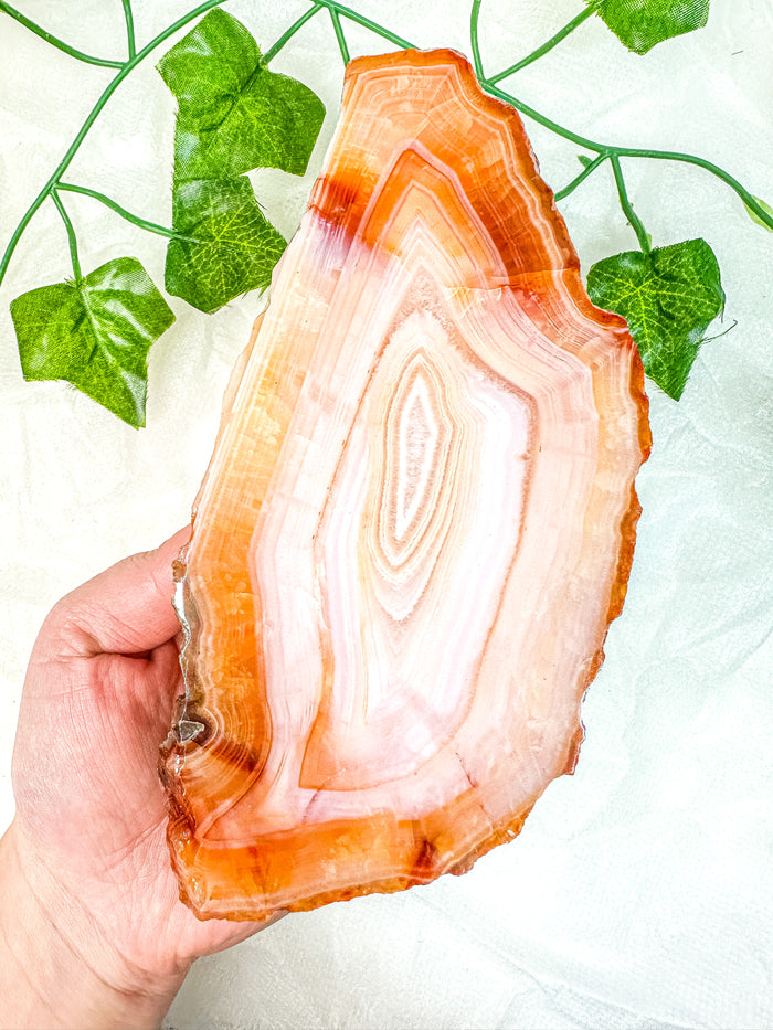 Carnelian Slab (HD) #6
