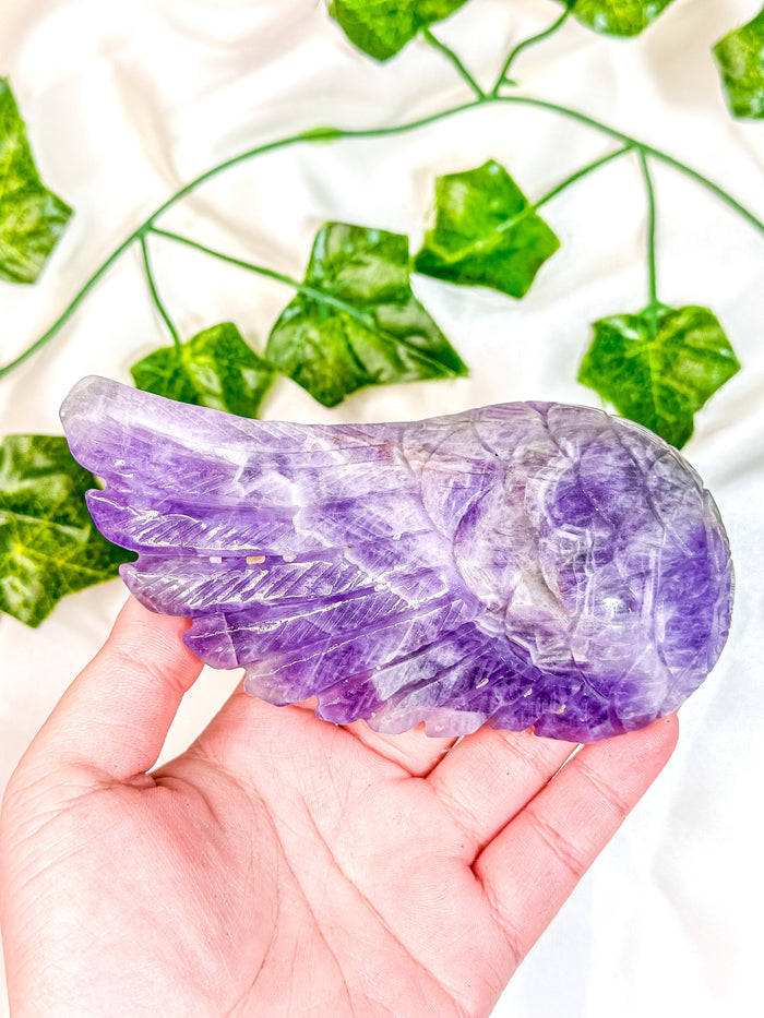 Chevron Amethyst Angel Wing (55F)