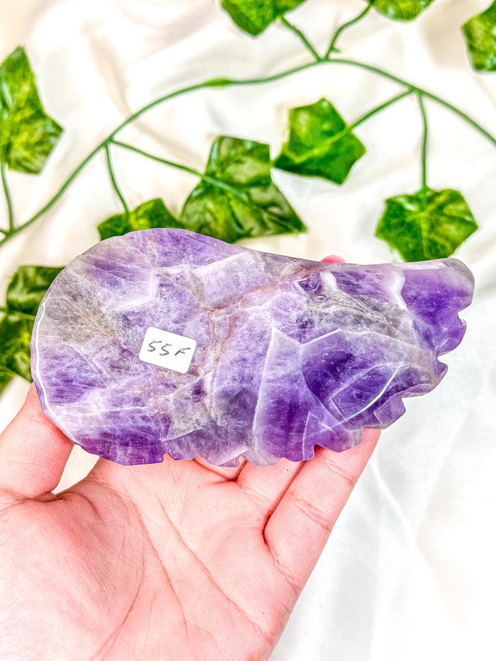 Chevron Amethyst Angel Wing (55F)