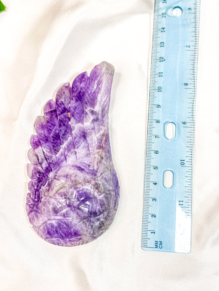 Chevron Amethyst Angel Wing (55F)