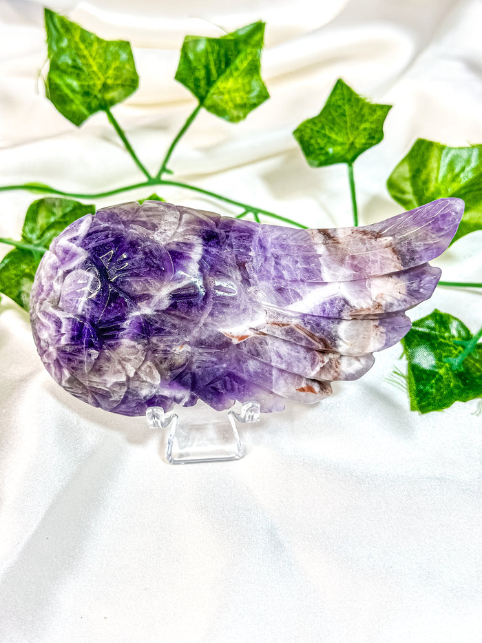 Chevron Amethyst Angel Wing (55N)