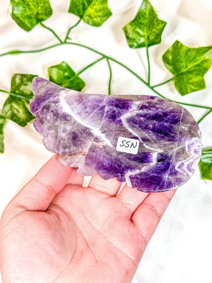 Chevron Amethyst Angel Wing (55N)
