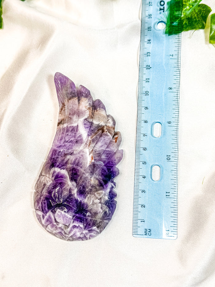 Chevron Amethyst Angel Wing (55N)