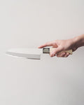 Deba Knife, Hirosho, Ryutoku Series