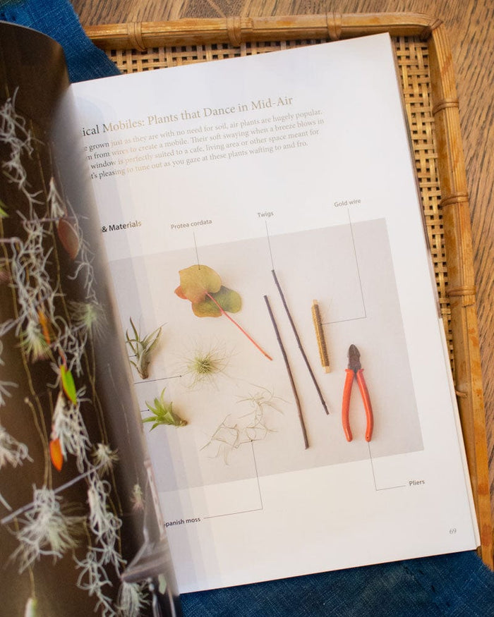 ENG: Nature Crafts - Japanese Style Plant & Leaf Projects