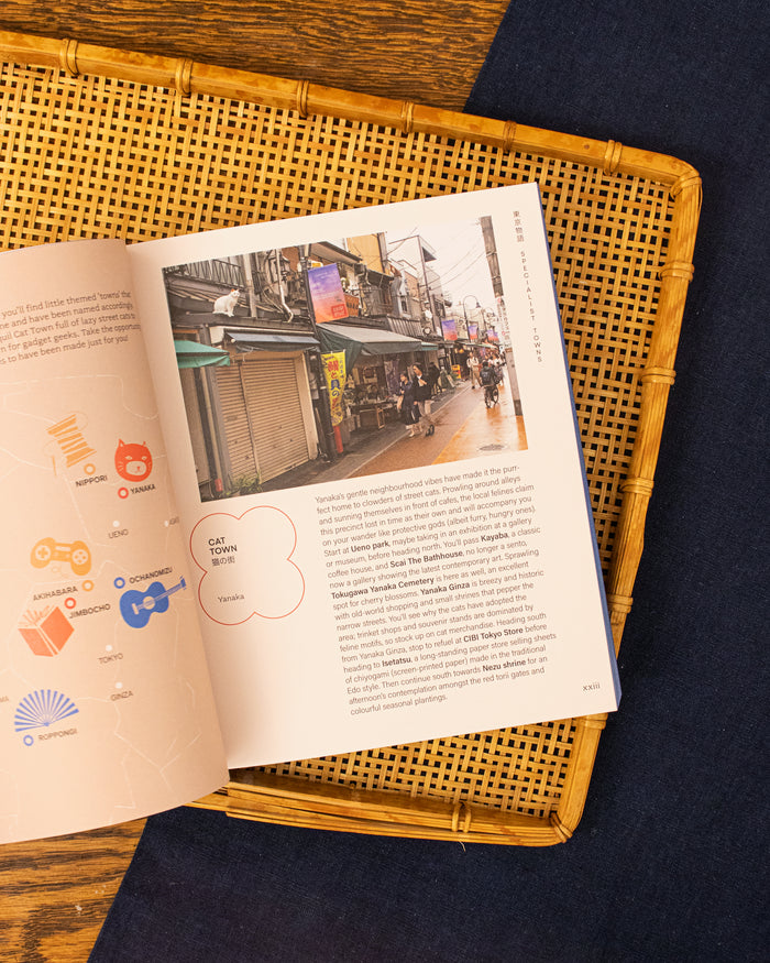 ENG: Tokyo Story: A Guide by Steve Wide & Michelle Mackintosh