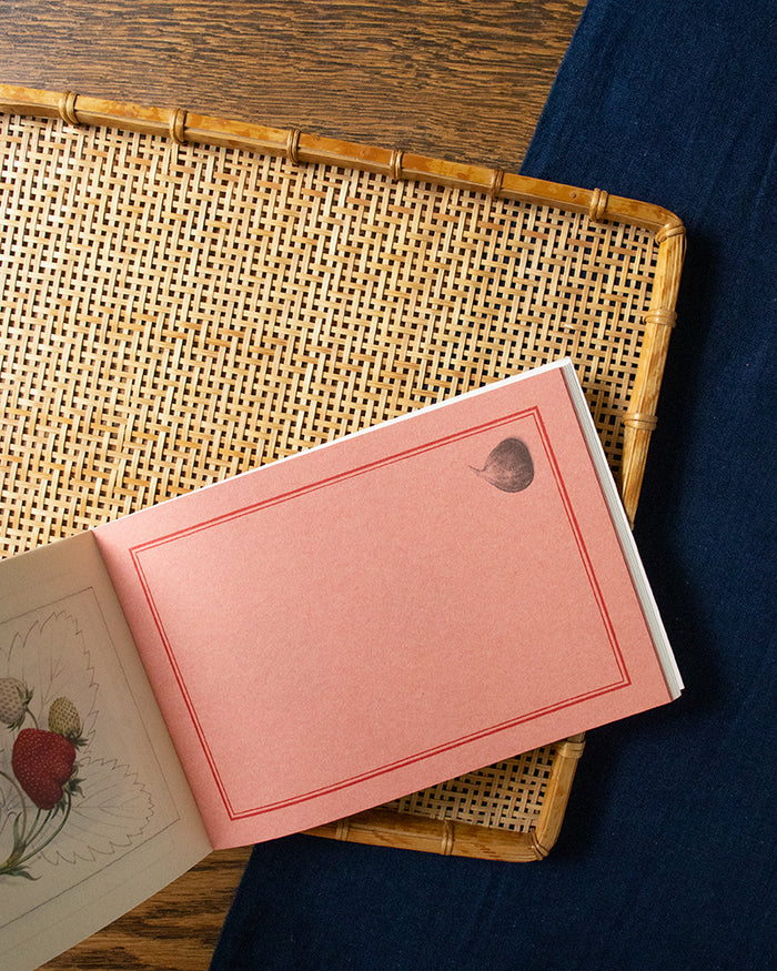 ENG/JPN: 100 Writing and Crafting Papers, Fruit