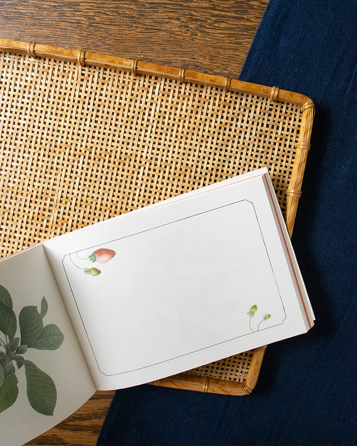 ENG/JPN: 100 Writing and Crafting Papers, Fruit
