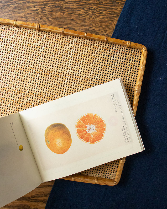 ENG/JPN: 100 Writing and Crafting Papers, Fruit
