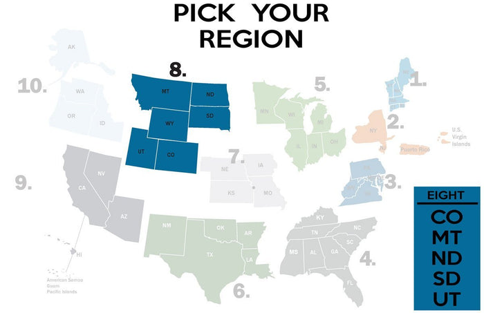 FEMA REGION EIGHT - tee shirt
