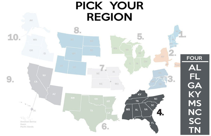 FEMA REGION FOUR - tee shirt