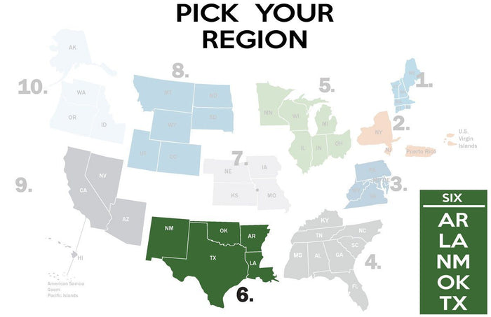 FEMA REGION SIX - tee shirt