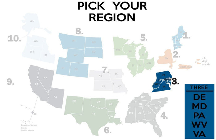 FEMA REGION THREE - tee shirt
