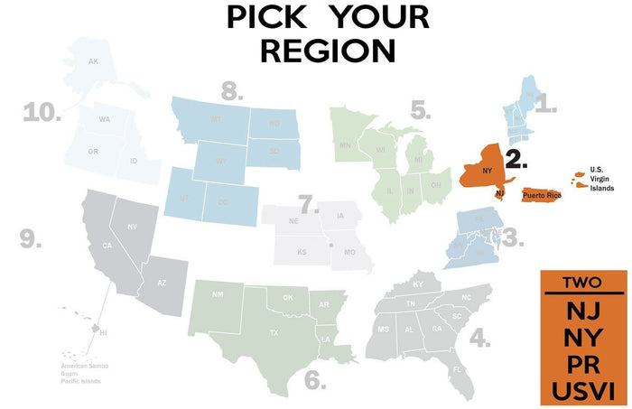 FEMA REGION TWO - tee shirt