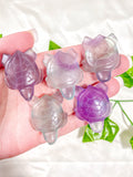Fluorite Turtle