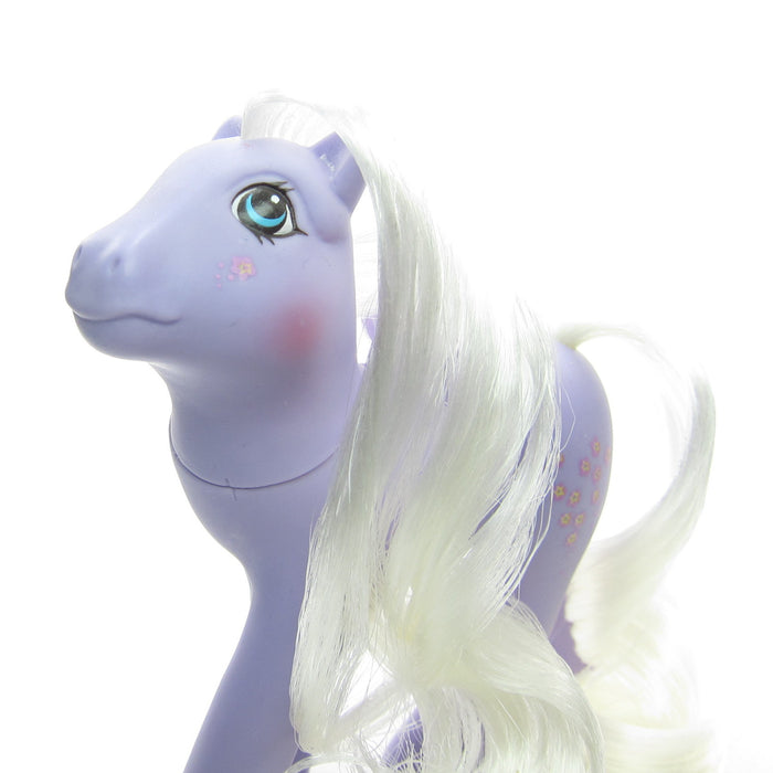 Forget-Me-Not pony with flower on cheek