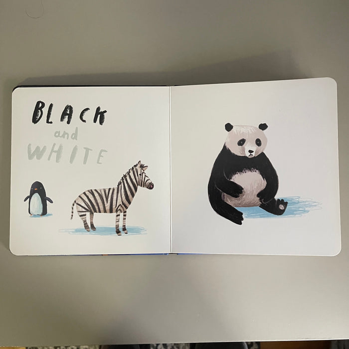 Here We Are - Book of Colors / Oliver Jeffers