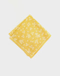 Japanese Handkerchief, Classic, Hannari, Iwanu-Iro