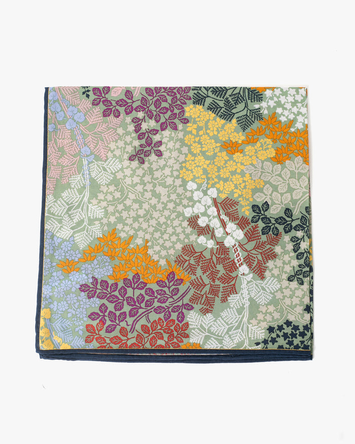 Japanese Handkerchief, Classic, Multicolor Plants