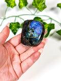 Labradorite Freeform (12A)
