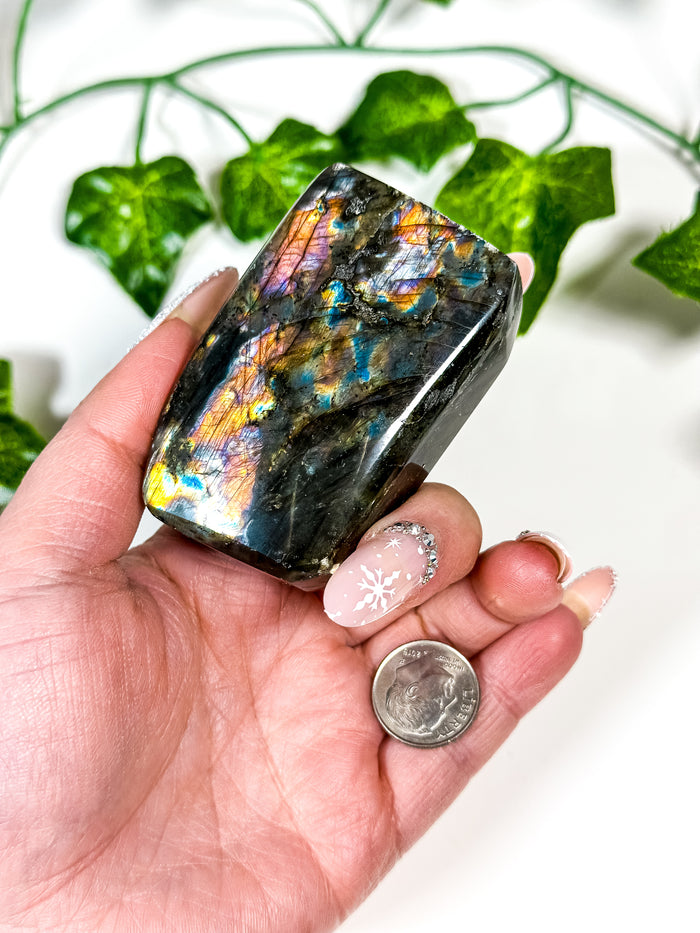 Labradorite Freeform (22C)