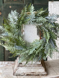 Menifee Fern Wreath, 24"