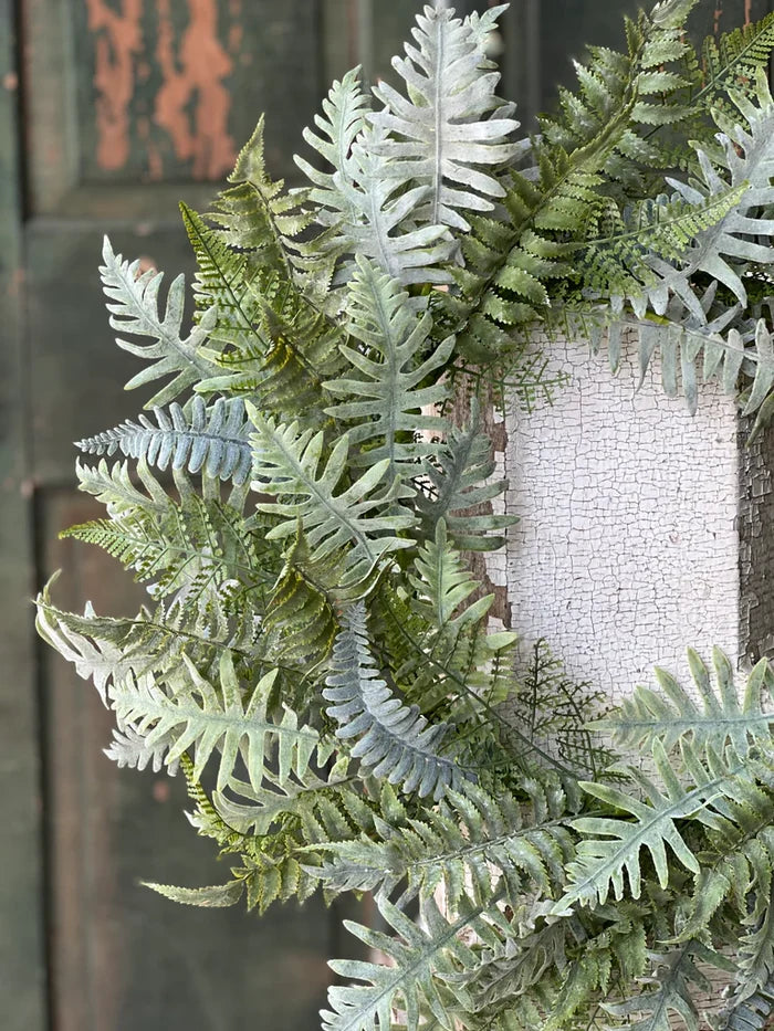 Menifee Fern Wreath, 24"