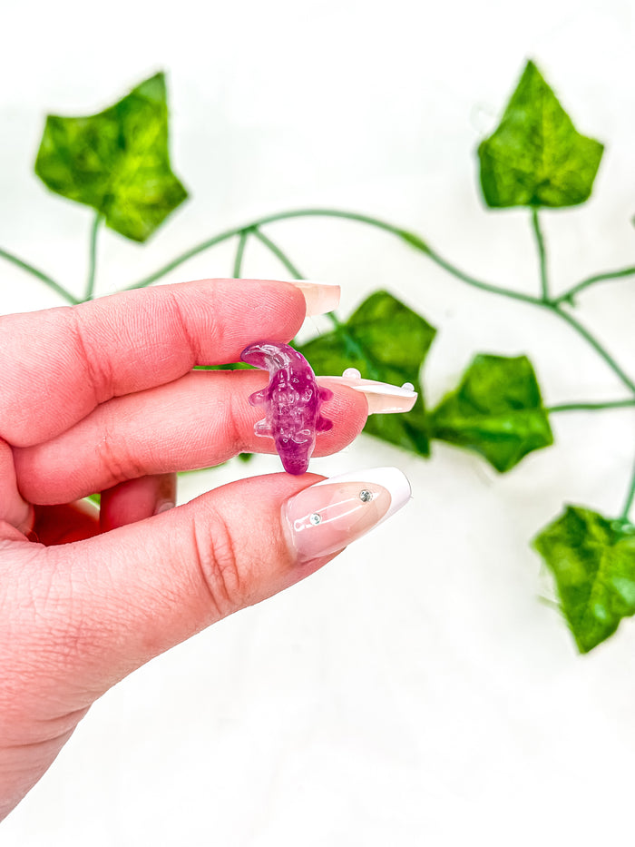 Mini Fluorite Alligator