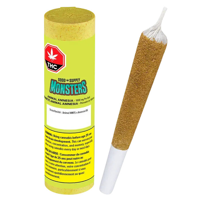 Angled view of a pre-rolled cone beside its bright yellow tube packaging labeled "Monsters Animal Amnesia Infused PR 1 x 2.38 g" on a white background.