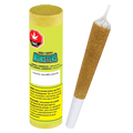 Angled view of a pre-rolled cone beside its bright yellow tube packaging labeled "Monsters Animal Amnesia Infused PR 1 x 2.38 g" on a white background.