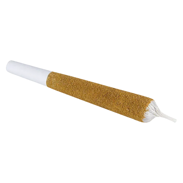Angled close-up of a tapered, gold-tinted cone with a white filter — Monsters Animal Amnesia Infused PR 1 x 2.38 g.