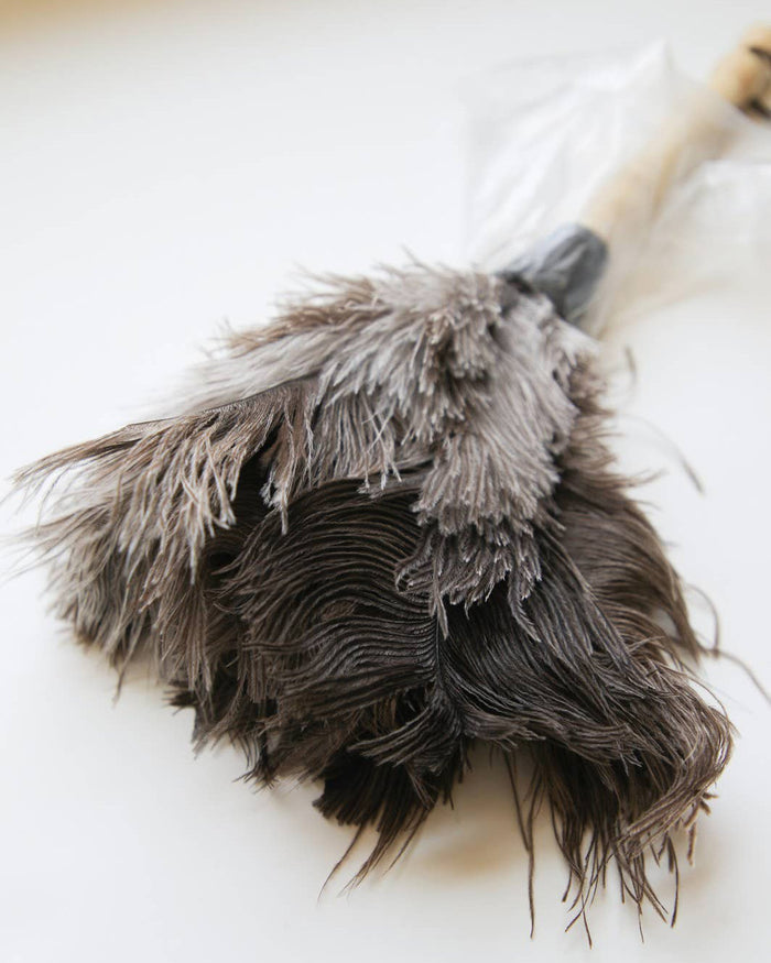 Natural Ostrich Feather Duster