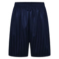 Navy Shadow Stripe Shorts