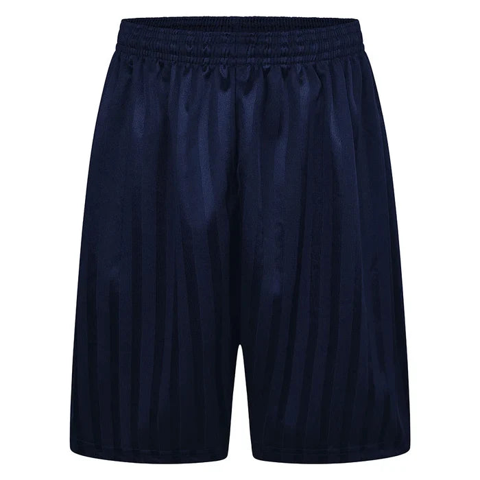 Navy Shadow Stripe Shorts