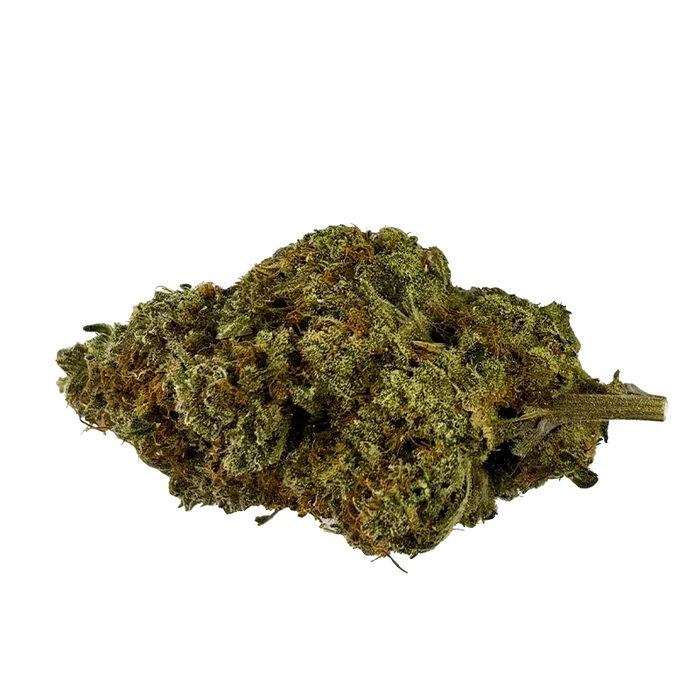 Close-up side view of a single dried bud labeled Organic Apex Kush showing dense green and orange hairs and a short stem.