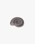 Paperweight, Oitomi, Ammonite