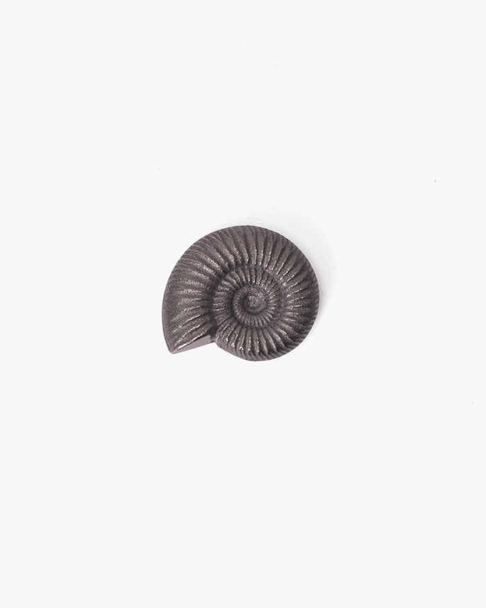 Paperweight, Oitomi, Ammonite