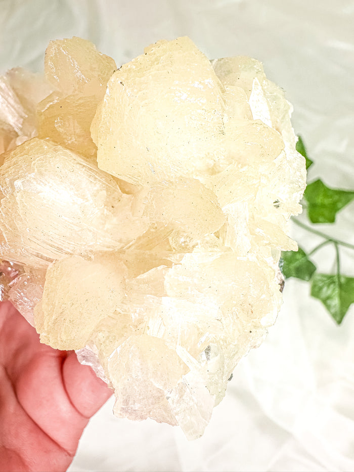 Peach Stilbite with Clear Apophyllite and Okenite Mineral Specimen #5 (AA)