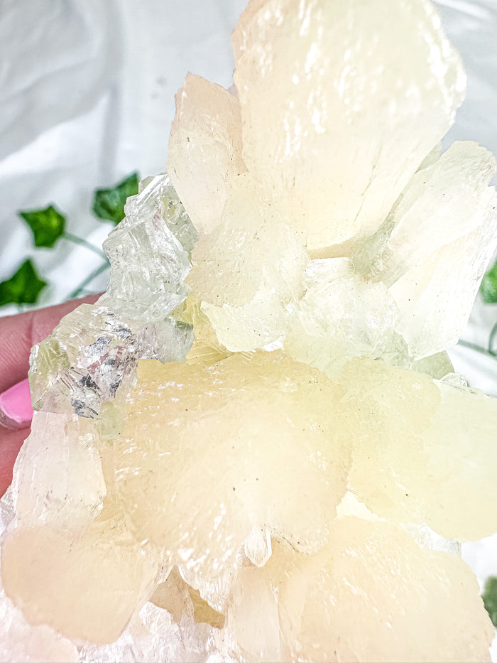 Peach Stilbite with Clear Apophyllite and Okenite Mineral Specimen #5 (AA)