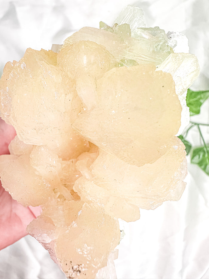 Peach Stilbite with Green Apophyllite and Okenite Mineral Specimen #3 (AA)