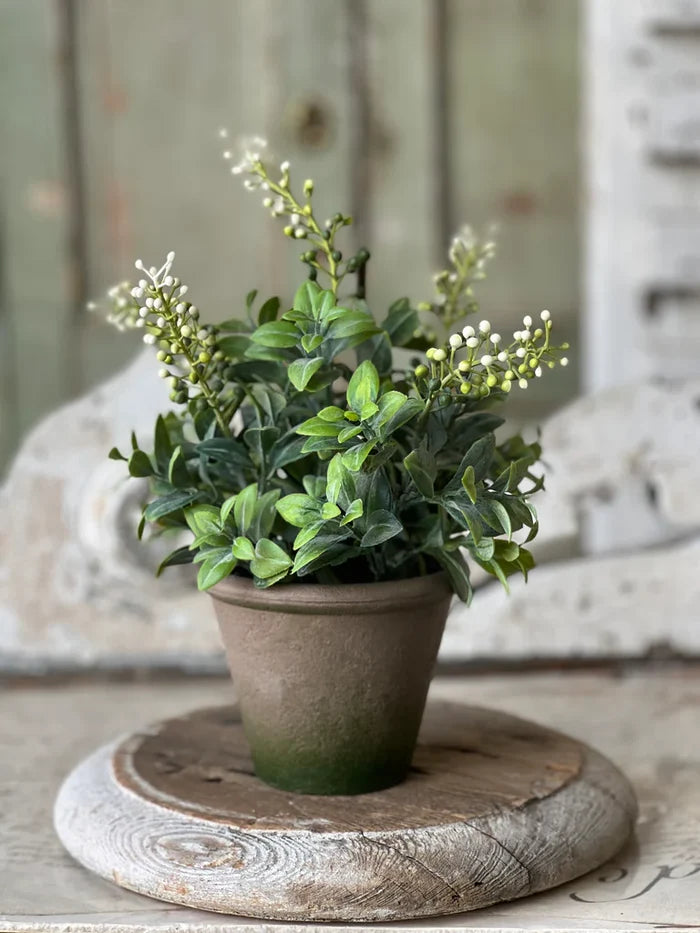 Pinch Berries Pot, 12"