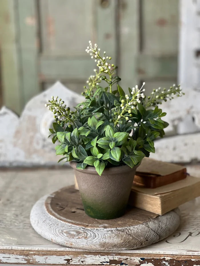 Pinch Berries Pot, 12"