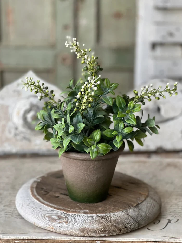 Pinch Berries Pot, 12"