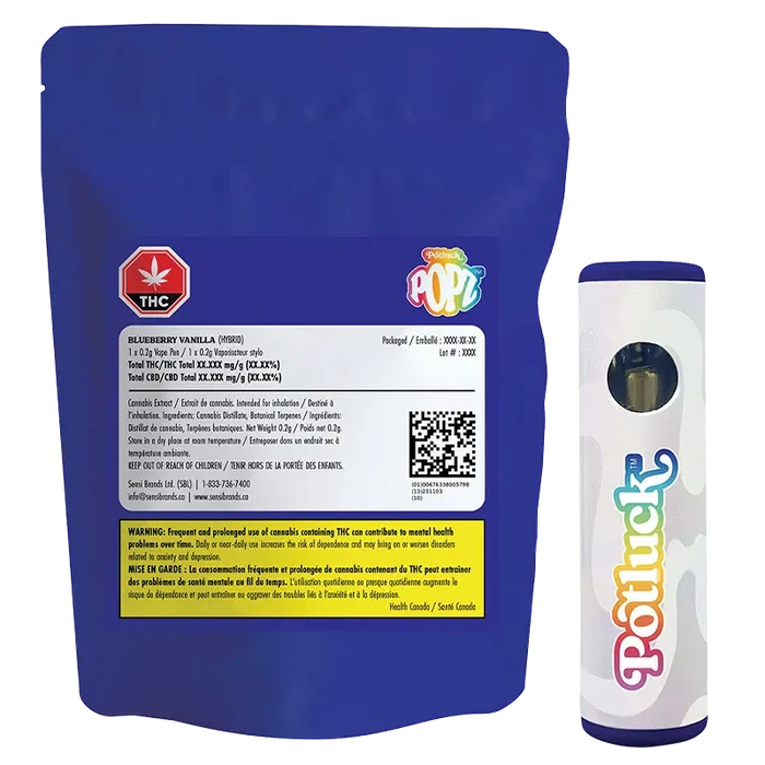 Studio-lit front view of the POPZ Blueberry Vanilla Disposable Vape standing beside its blue resealable pouch, showing label and logo.